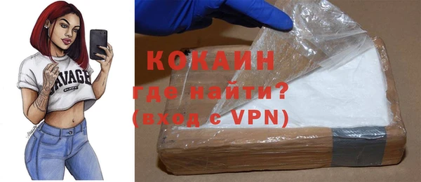 стаф Каменка