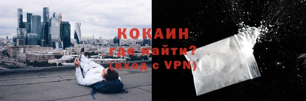 стаф Каменка