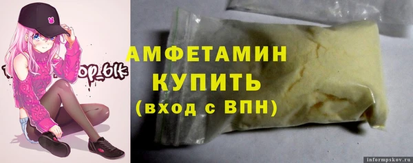 стаф Каменка