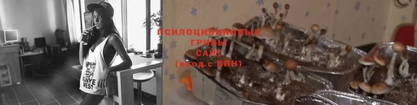 мескалин Каменногорск