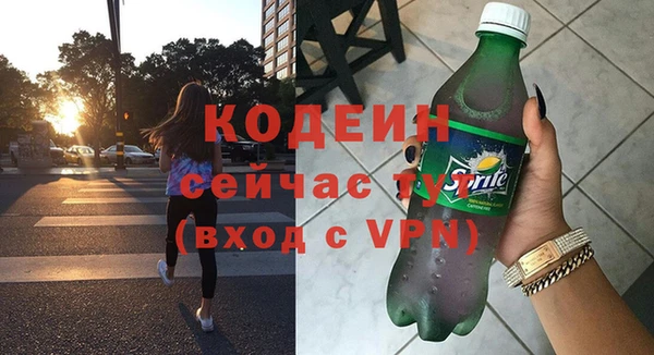 стаф Каменка