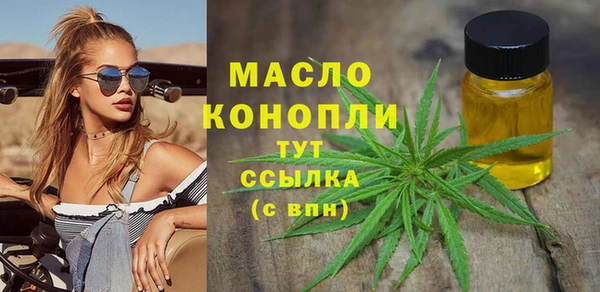 стаф Каменка