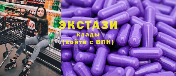 стаф Каменка