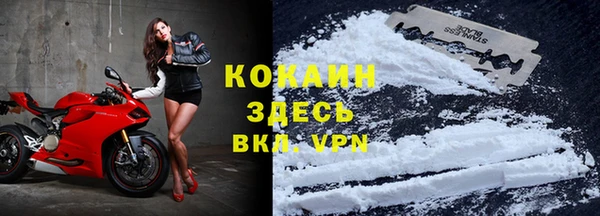 стаф Каменка