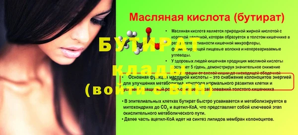 стаф Каменка