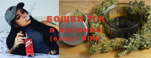 стаф Каменка