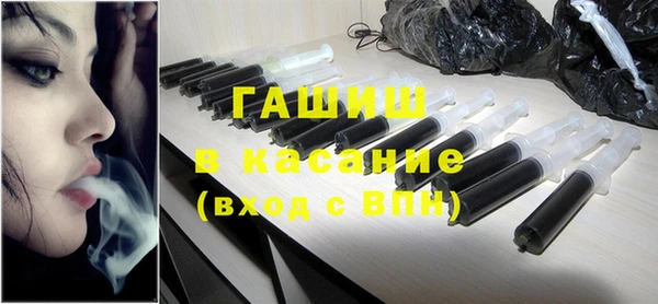 стаф Каменка